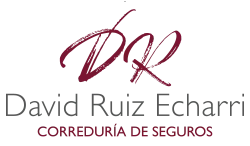 Logo David Ruiz